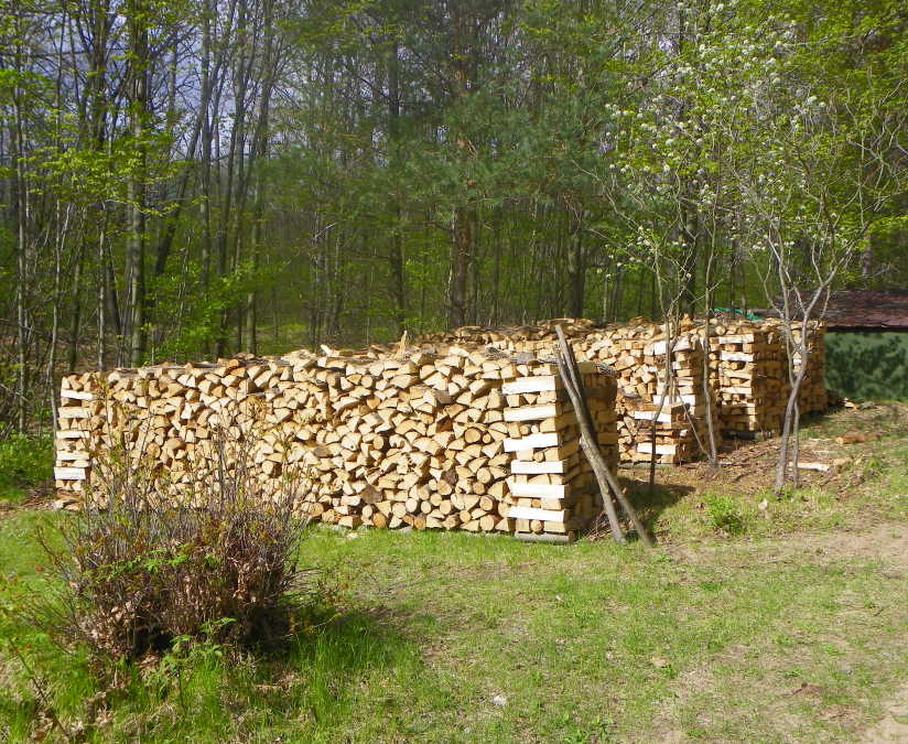 Firewood Types - Silver Birch
